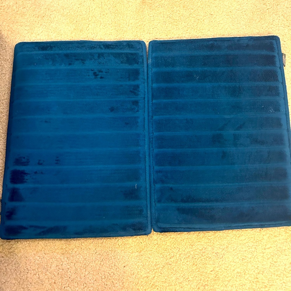 2 Blue Bath Mats